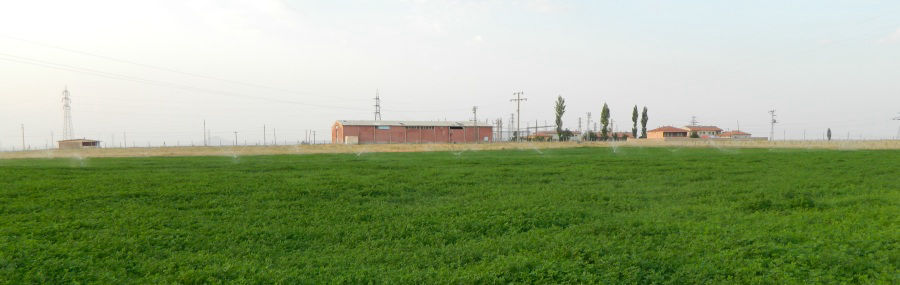 Kapadokya Tarım